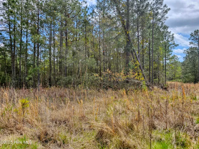 $25,000 | 22 Sandy Point Road, Scranton, NC 27875