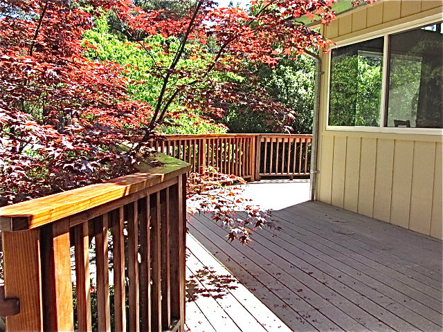 409 Rancho Rio Avenue Ben Lomond, CA 95005 - Photo 17 of 21 Gallery Image 17