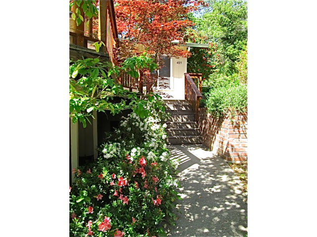 409 Rancho Rio Avenue Ben Lomond, CA 95005 - Photo 18 of 21 Gallery Image 18