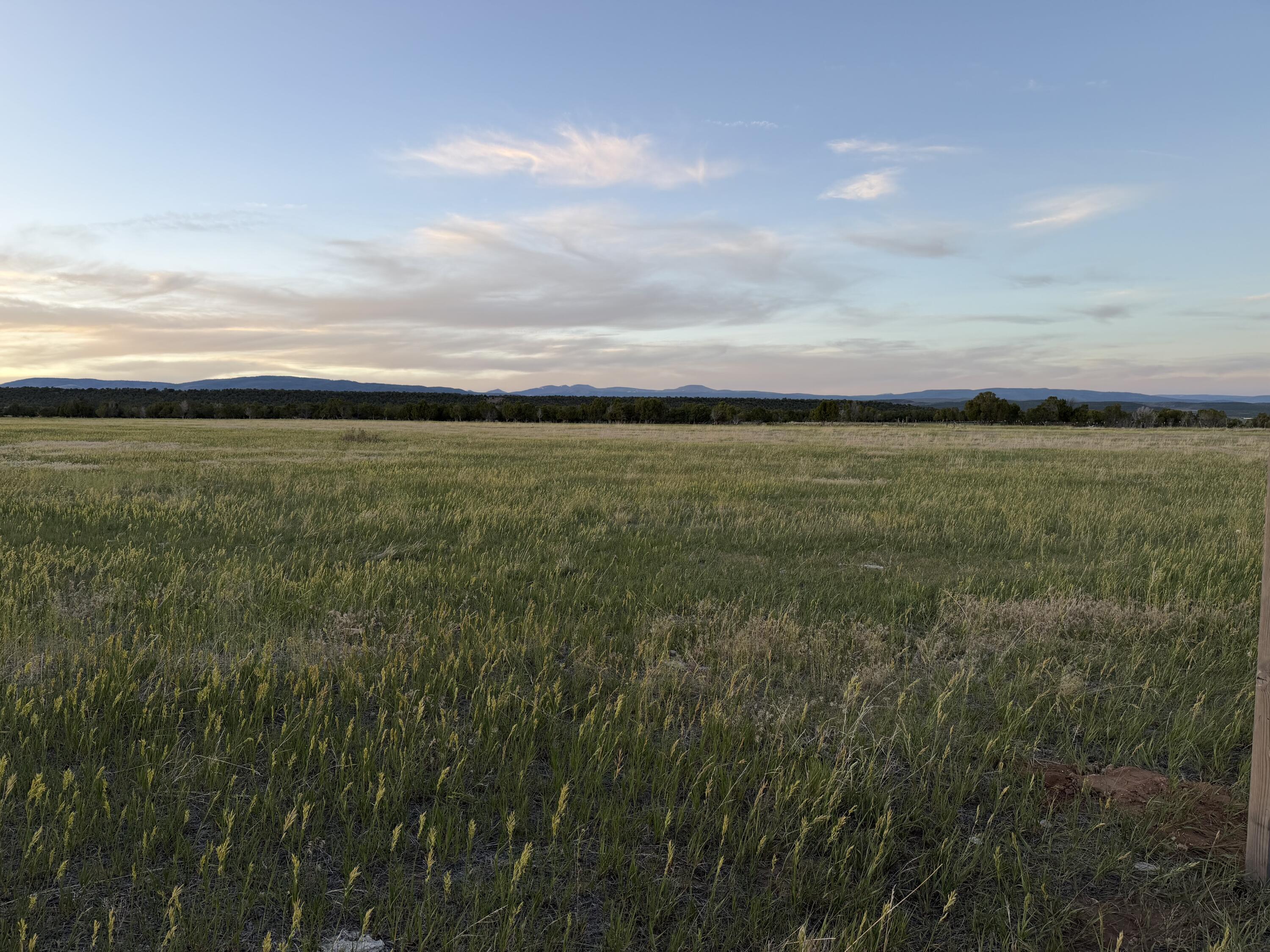76.89 Acres, Unit PARCEL Duchesne, UT 84021 - Photo 1 of 5 IMG_0193