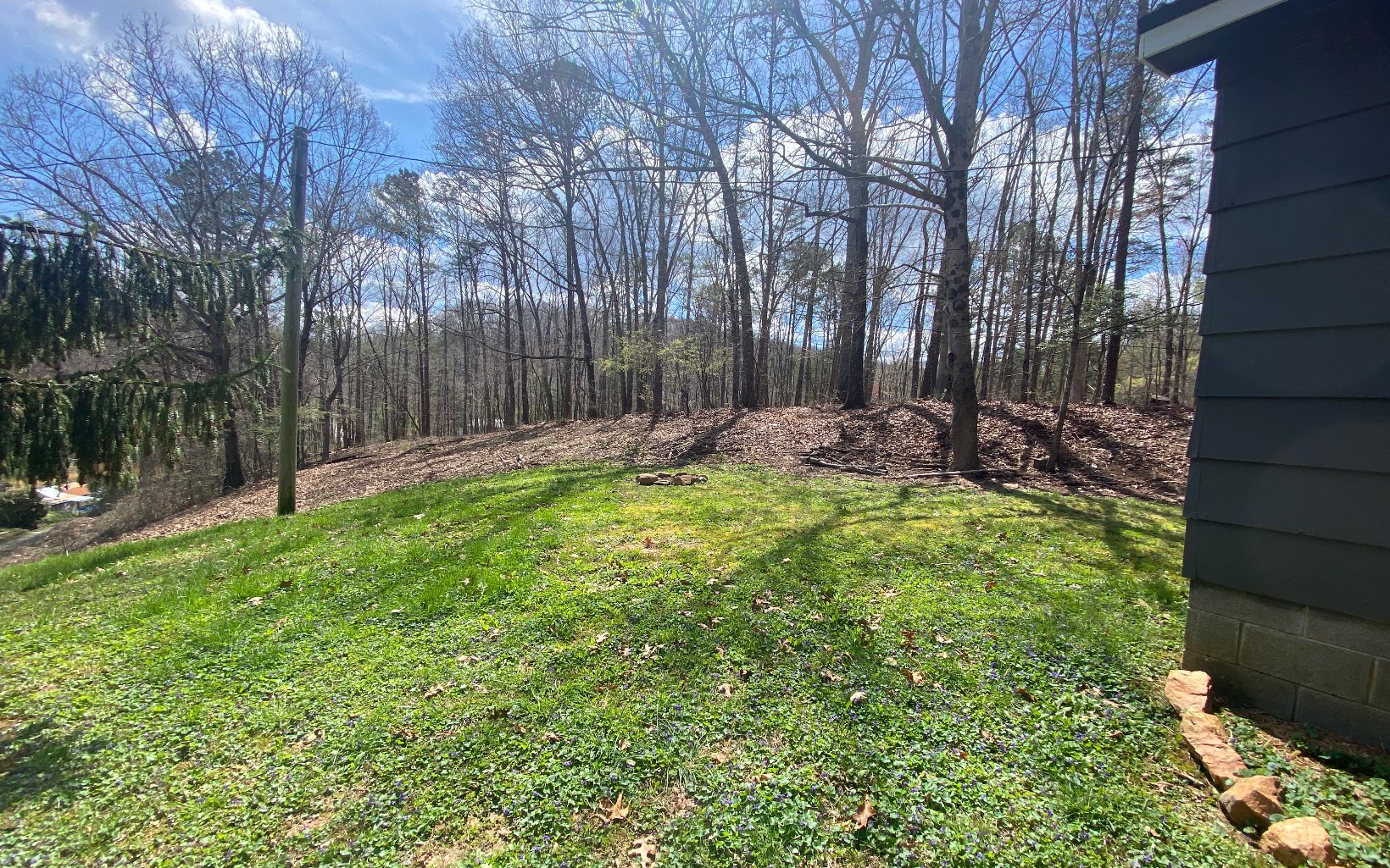 85 Idaho Drive Blue Ridge, GA 30513 - Photo 11 of 11 Additional View