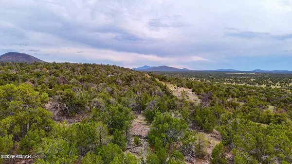 $12,399 | 132 East Sidewinder Road, Williams, AZ 86046