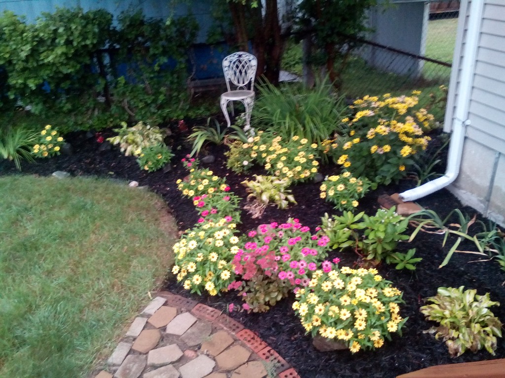 362 Stapleton Road Springfield, MA 01109 - Photo 23 of 24 a bunch of flowers and flowers in a garden