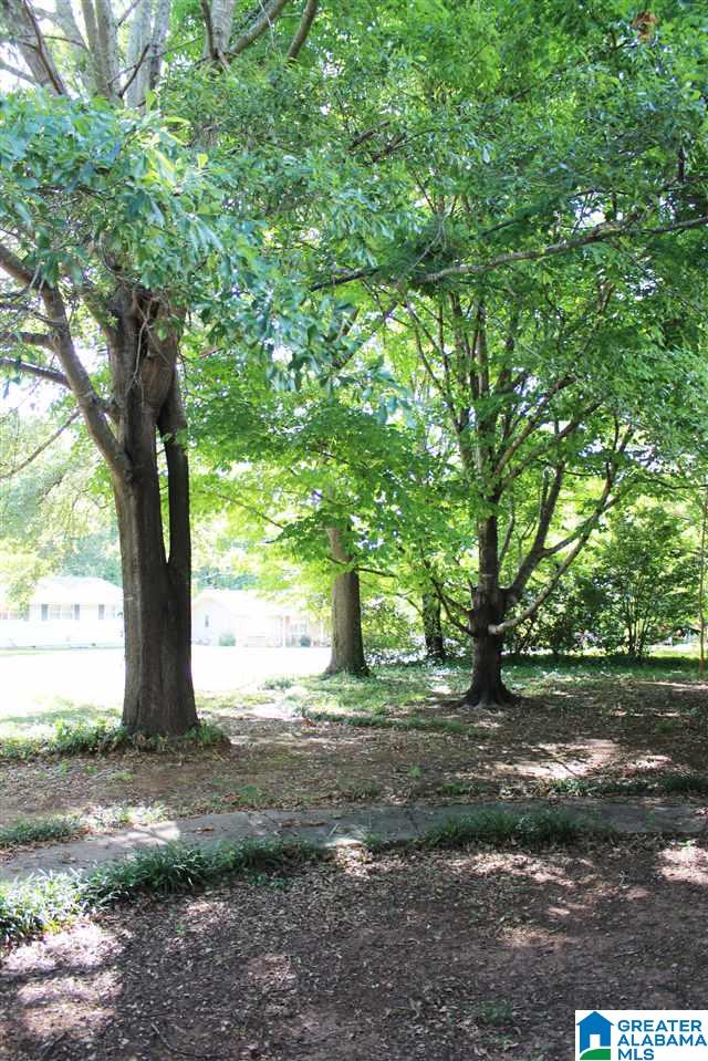 3905 Cloverdale Road Anniston, AL 36207 - Photo 21 of 26