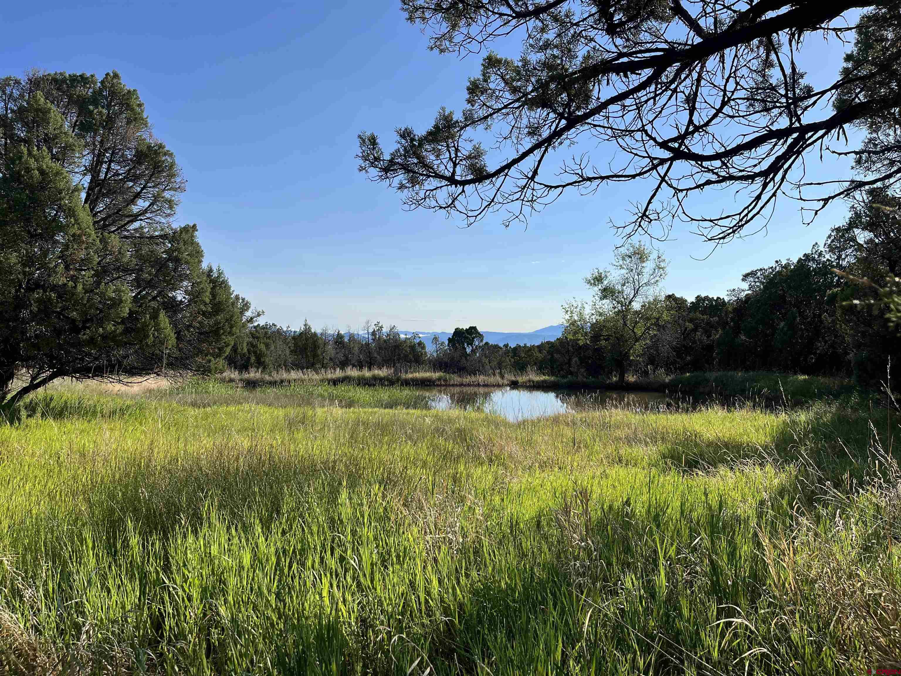 31807 B50 Road Crawford, CO 81415 - Photo 41 of 45 a view of a lake in middle of the house