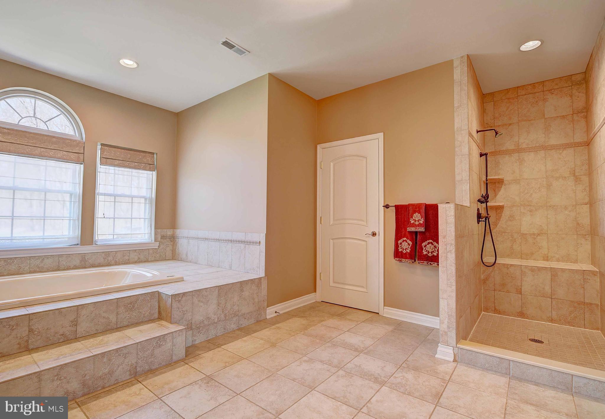 381 Davis Road Street, MD 21154 - Photo 22 of 30 Bath (Master)
