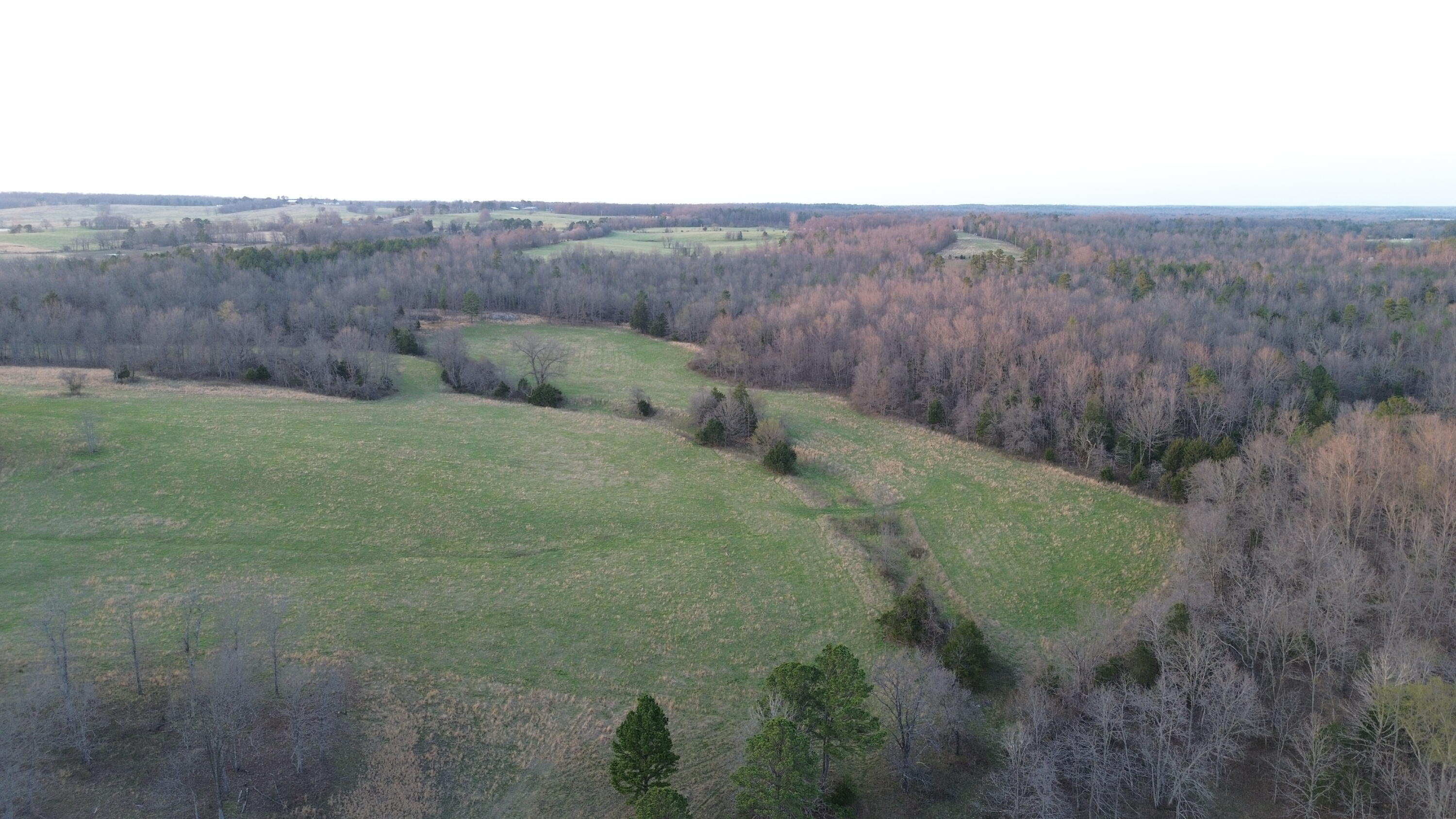 Ww-a County Rd WW-A Summersville, MO 65571 - Photo 1 of 1 DJI_0571