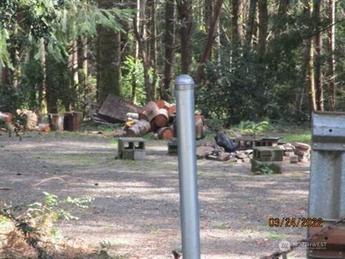 51 East Carols Place Belfair, WA 98528 - Photo 7 of 14 a view of a yard
