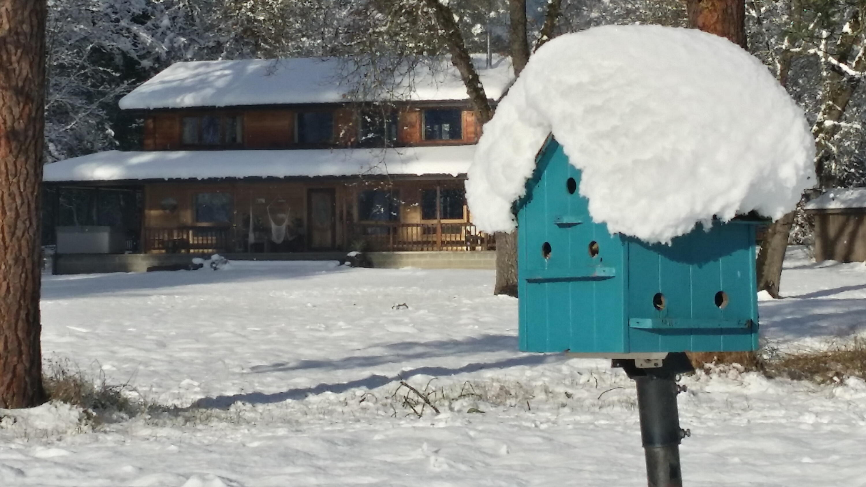1275 Kubli Road Grants Pass, OR 97527 - Photo 21 of 21 BIRDS CAN NESTLE IN ANY SEASON