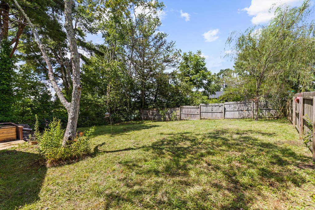 282 East 2nd Street Blue Ridge, GA 30513 - Photo 14 of 18