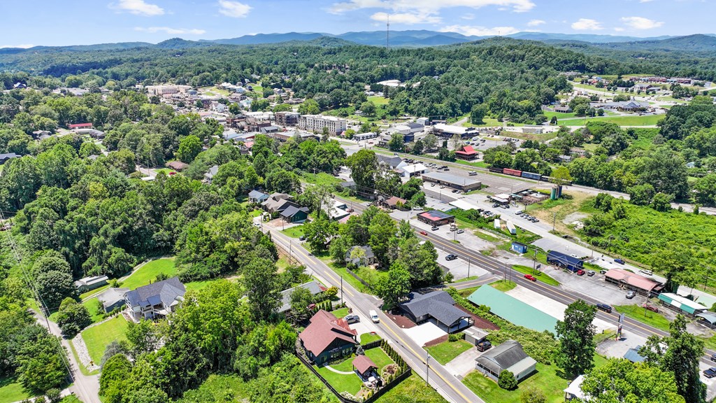 282 East 2nd Street Blue Ridge, GA 30513 - Photo 4 of 18