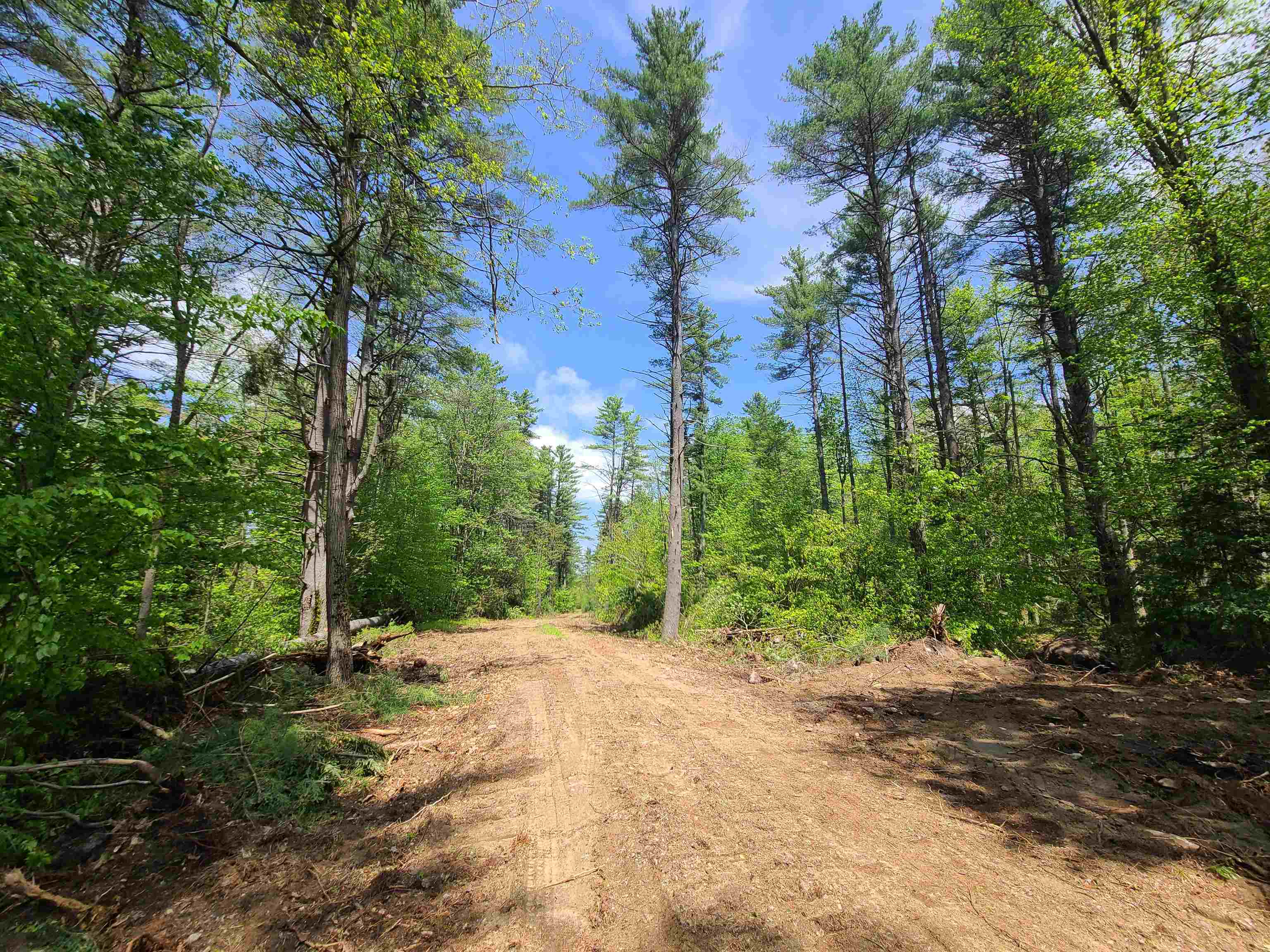 125 Bowkerville Road Fitzwilliam, NH 03447 - Photo 5 of 5