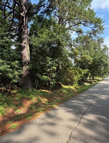 Tbd West Yellow Water Road Hammond, LA 70403 - Photo 4 of 4 Gallery Image 4