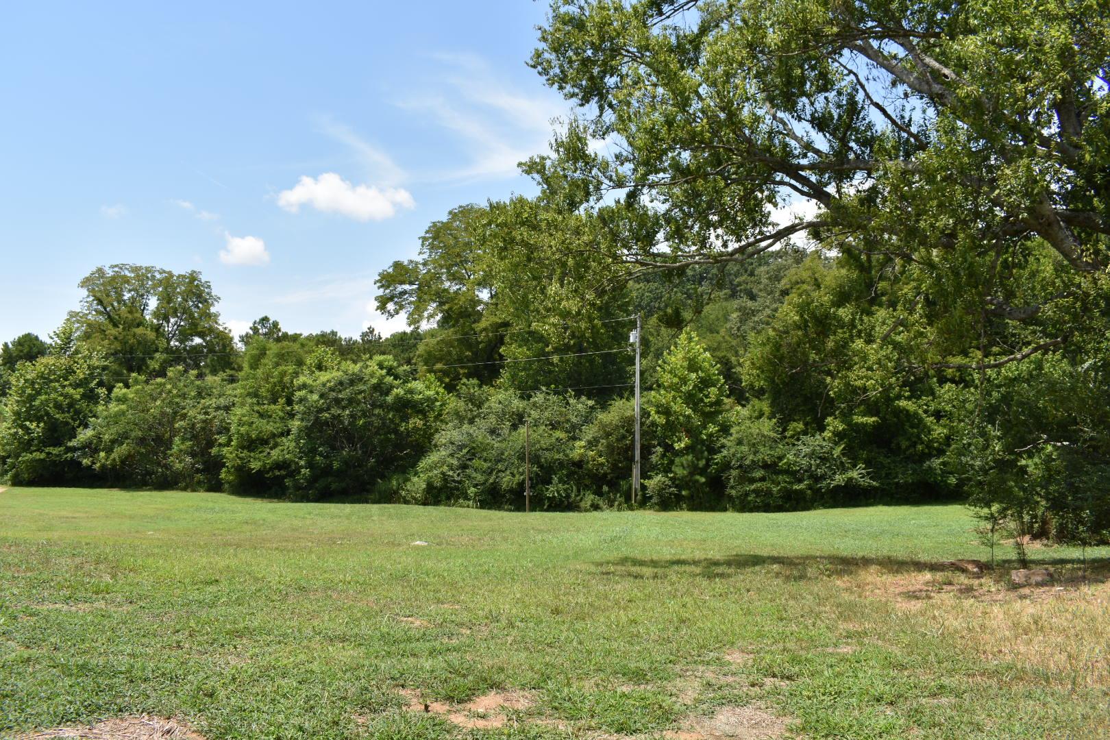 2107 Double Branch Road Columbia, TN 38401 - Photo 29 of 29 a view of a field with trees