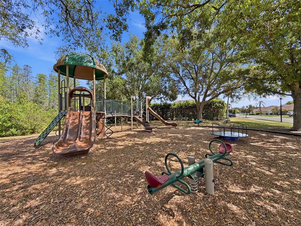 8740 Maple Pond Court Trinity, FL 34655 - Photo 29 of 31