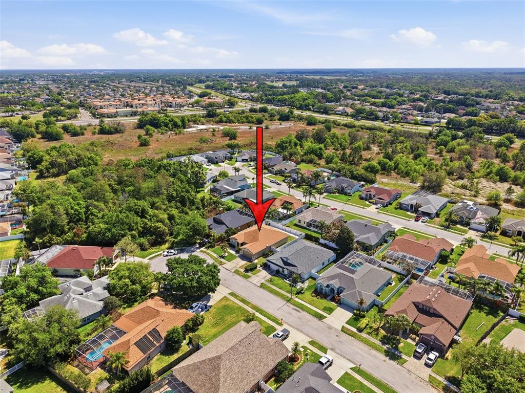 8740 Maple Pond Court Trinity, FL 34655 - Photo 30 of 31