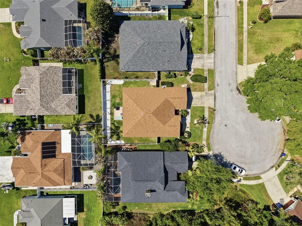 8740 Maple Pond Court Trinity, FL 34655 - Photo 31 of 31