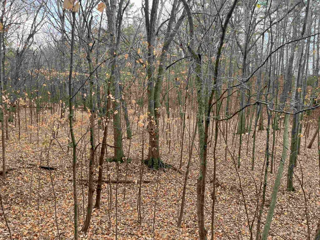 $599,900 | Cth Zz, De Pere, WI 54115