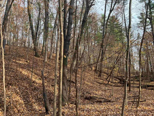 $599,900 | Cth Zz, De Pere, WI 54115