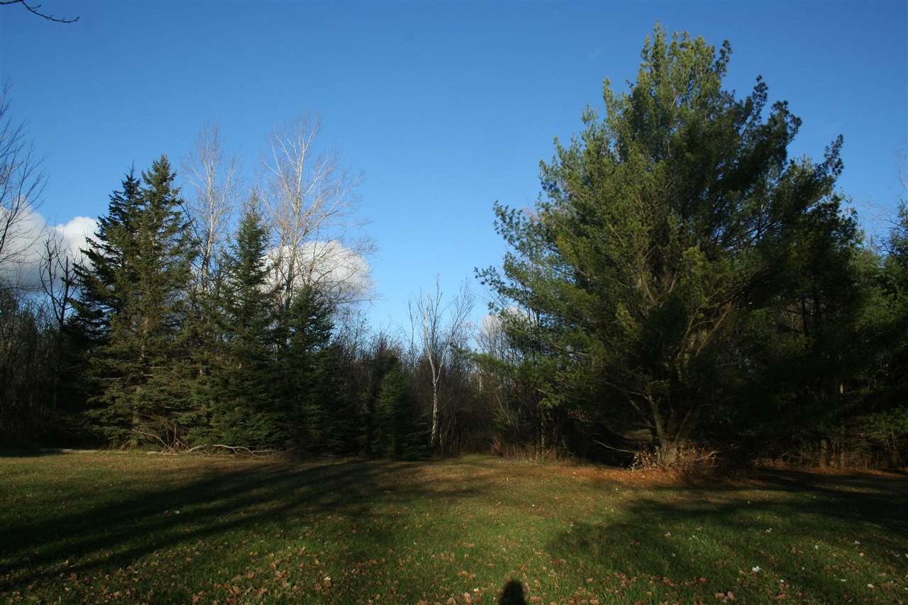 5612 Turtle Road Turner, MI 48765 - Photo 16 of 35 1894986-15.JPG