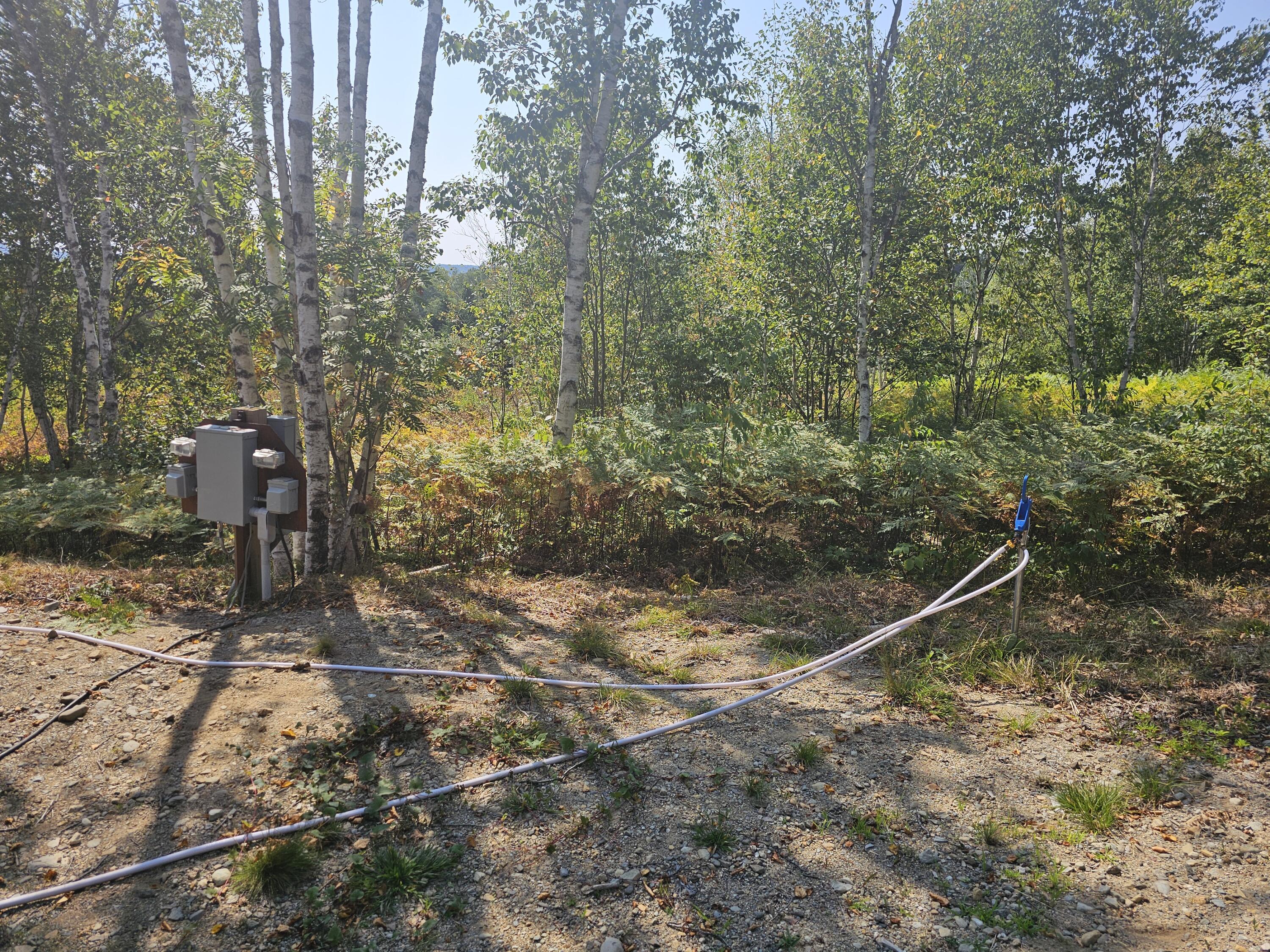 57 Englishman Bay Road Jonesport, ME 04649 - Photo 13 of 34 20250812_102223