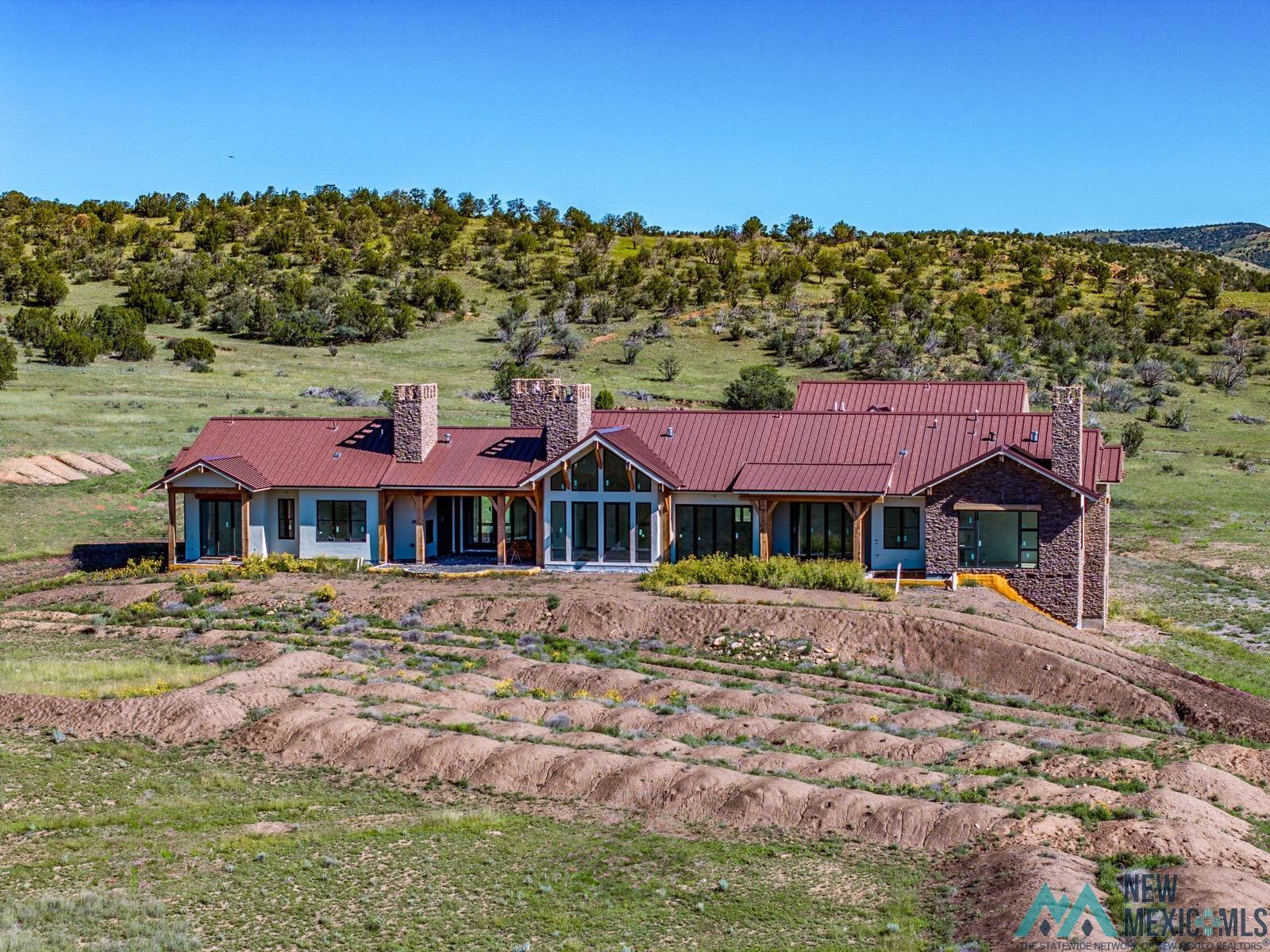398 Pine Road Capitan, NM 88316 - Photo 66 of 68 View of front of house with a chimney, a metal roof, and stone siding