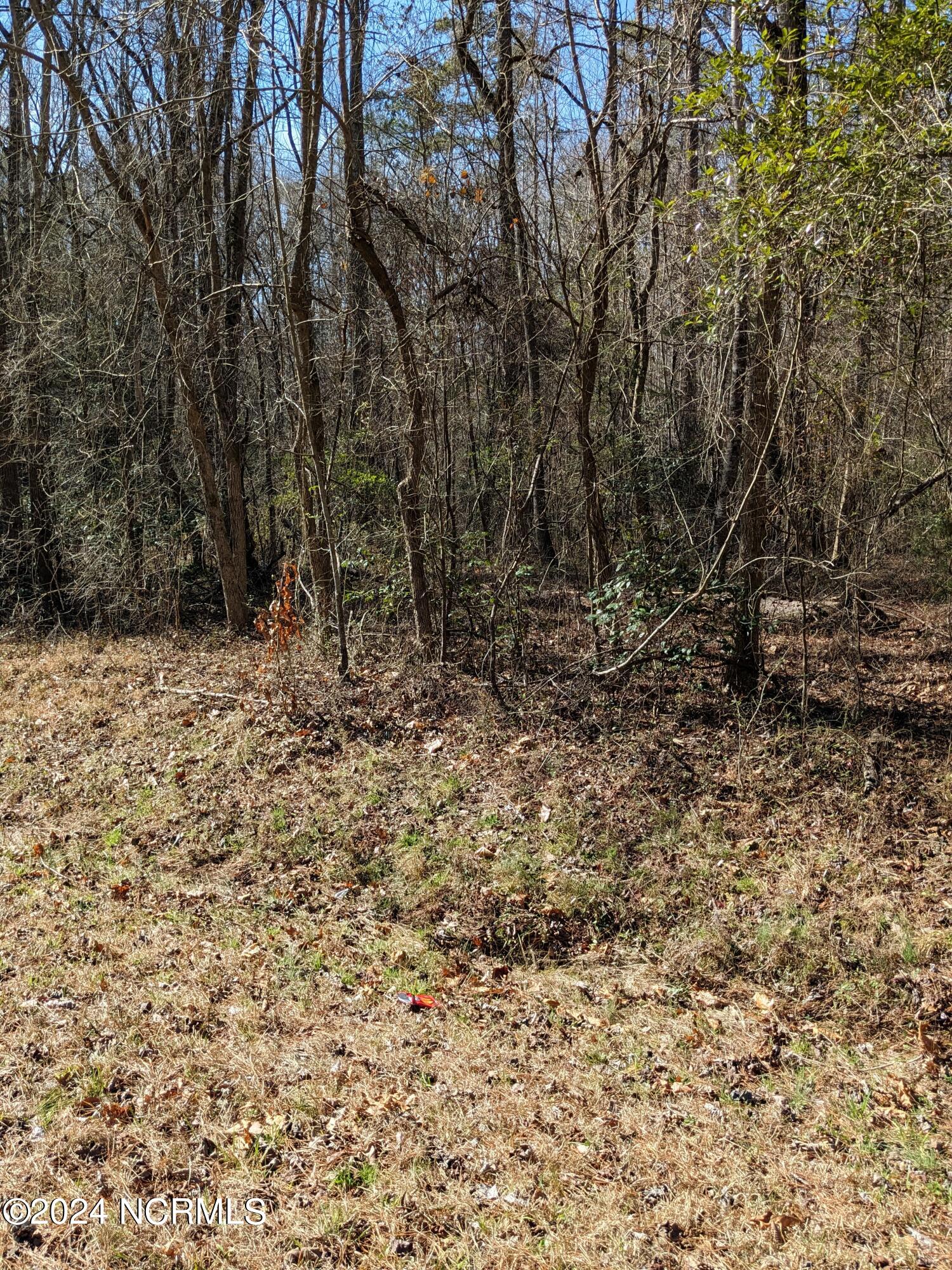 698 Gilchrist Road Cameron, NC 28326 - Photo 34 of 35 PXL_20240215_174446119