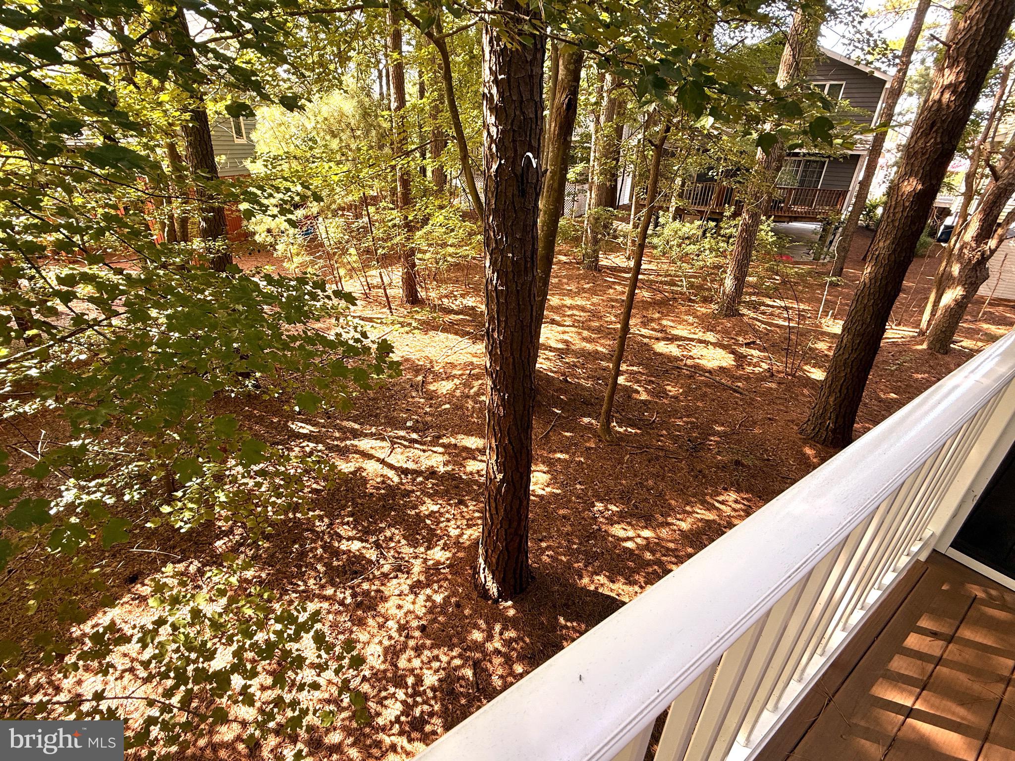 401 Periwinkle Road South Bethany, DE 19930 - Photo 61 of 73 Gallery Image 61