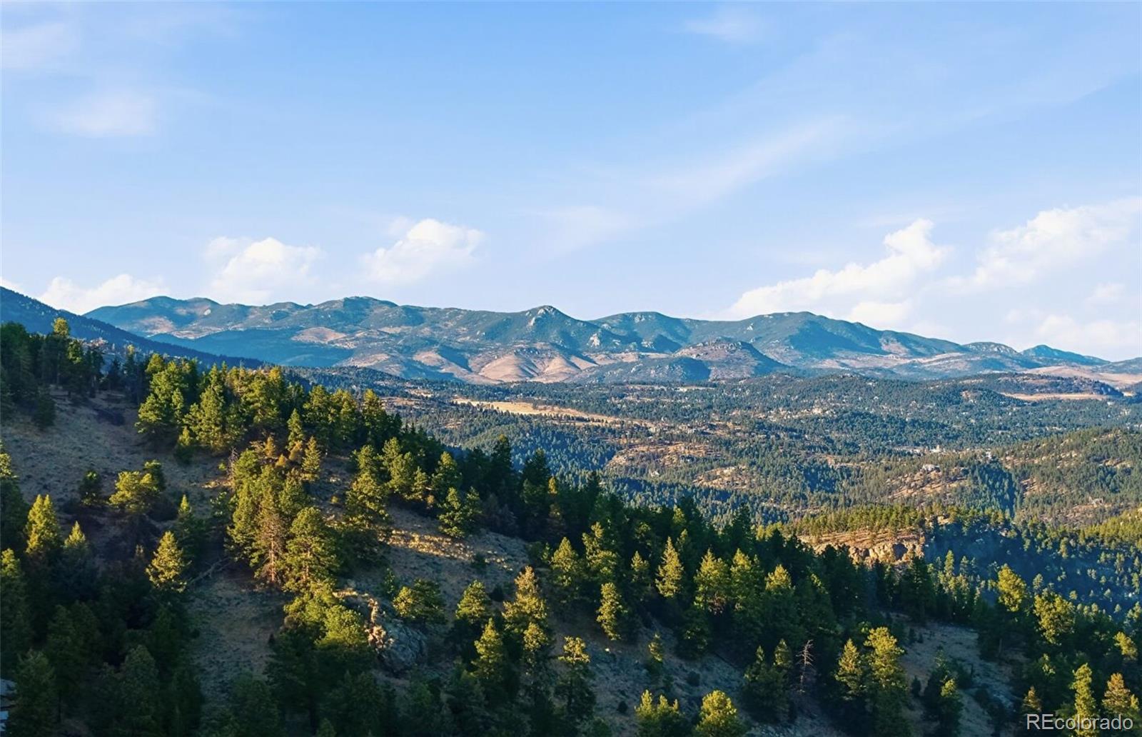 30908 Isenberg Lane Evergreen, CO 80439 - Photo 47 of 50