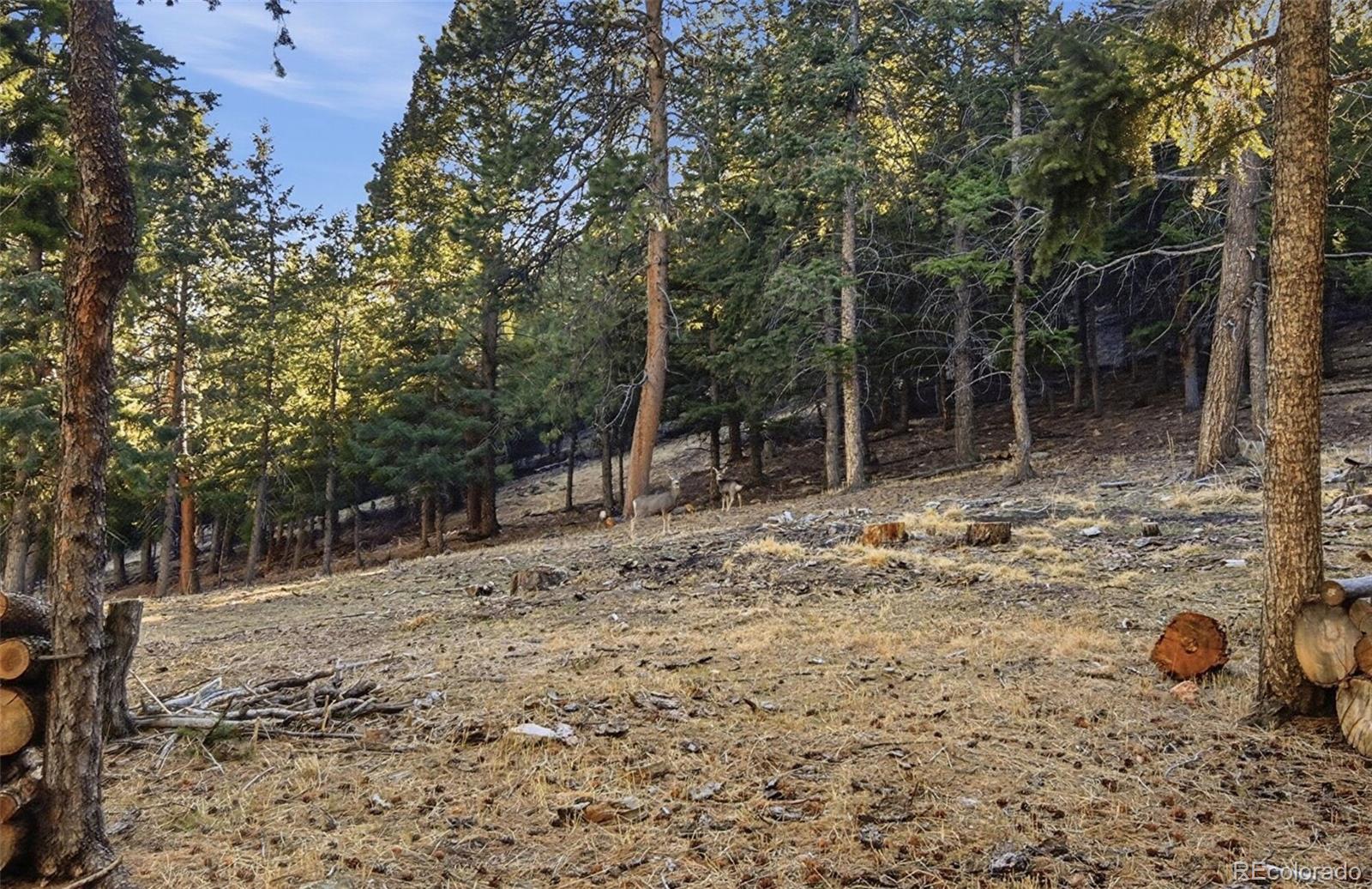 30908 Isenberg Lane Evergreen, CO 80439 - Photo 48 of 50