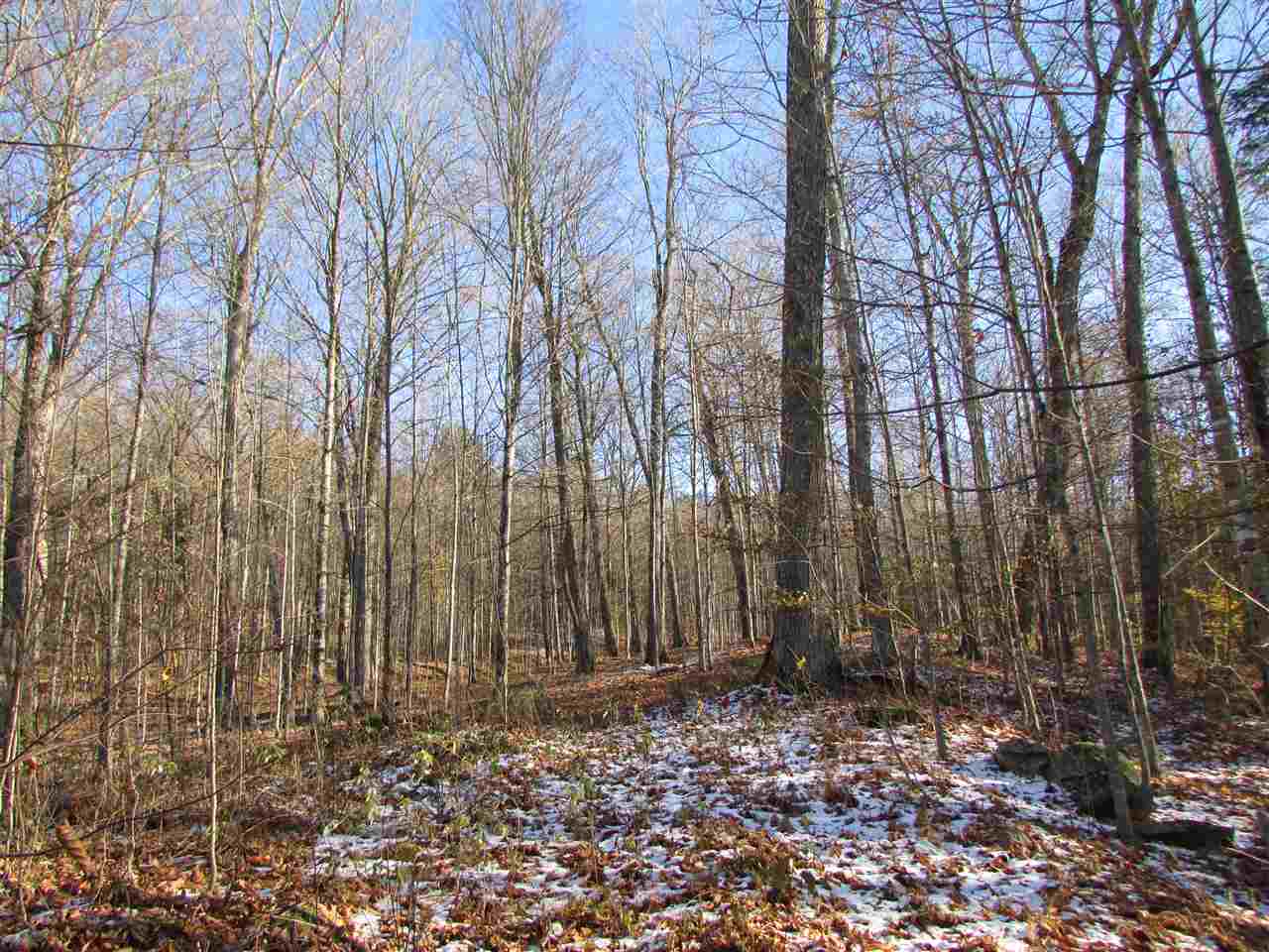 450 Whetstone Brook Road Craftsbury, VT 05826 - Photo 22 of 39 Gallery Image 22