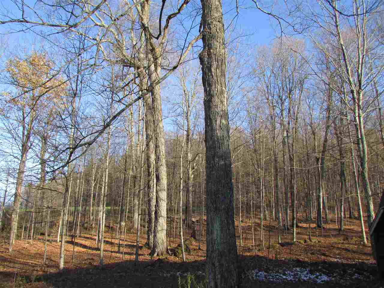 450 Whetstone Brook Road Craftsbury, VT 05826 - Photo 23 of 39 Gallery Image 23