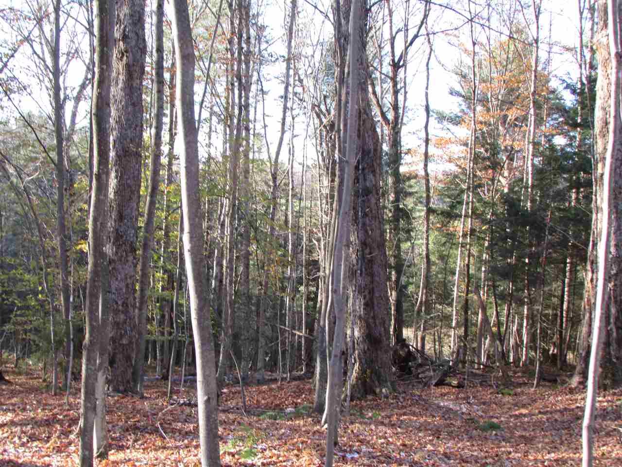 450 Whetstone Brook Road Craftsbury, VT 05826 - Photo 25 of 39 Gallery Image 25