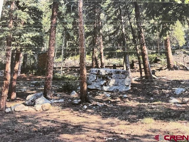 766 Rd Pitkin Co 81241 Road Ohio City, CO 81237 - Photo 1 of 4