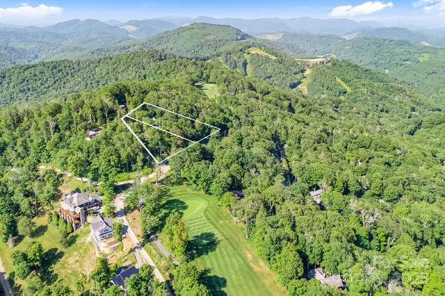a view of a lush green forest with a mountain