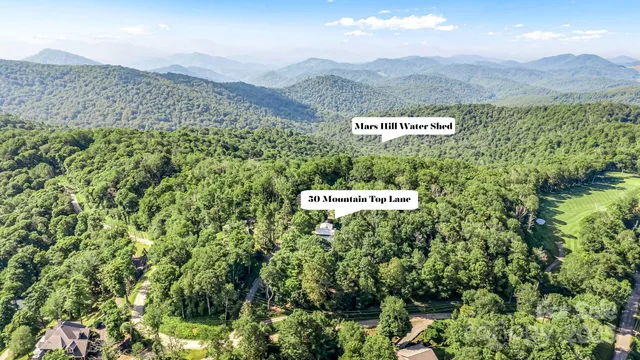 a view of a bunch of trees and houses