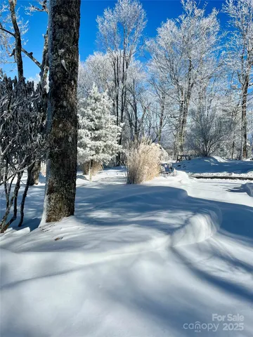 a backyard of a house with plants and trees