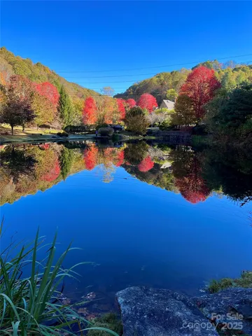 a view of a park with large trees