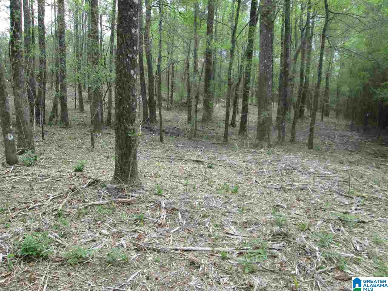 2460 Corner Road Warrior, AL 35180 - Photo 9 of 13