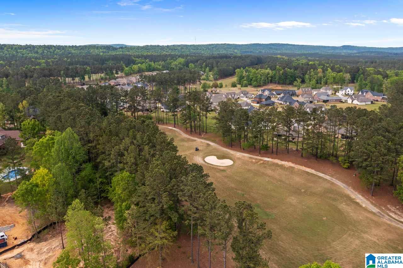 113 Kilberry Circle Pelham, AL 35124 - Photo 11 of 47
