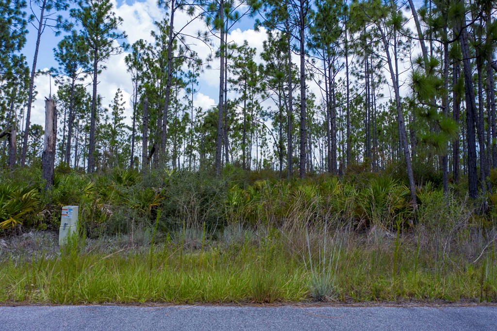 15 Amanda Street DeFuniak Springs, FL 32433 - Photo 3 of 3