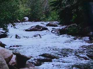 4444 Streamside Circle Vail, CO 81657 - Photo 2 of 8 a view of a backyard space with green space