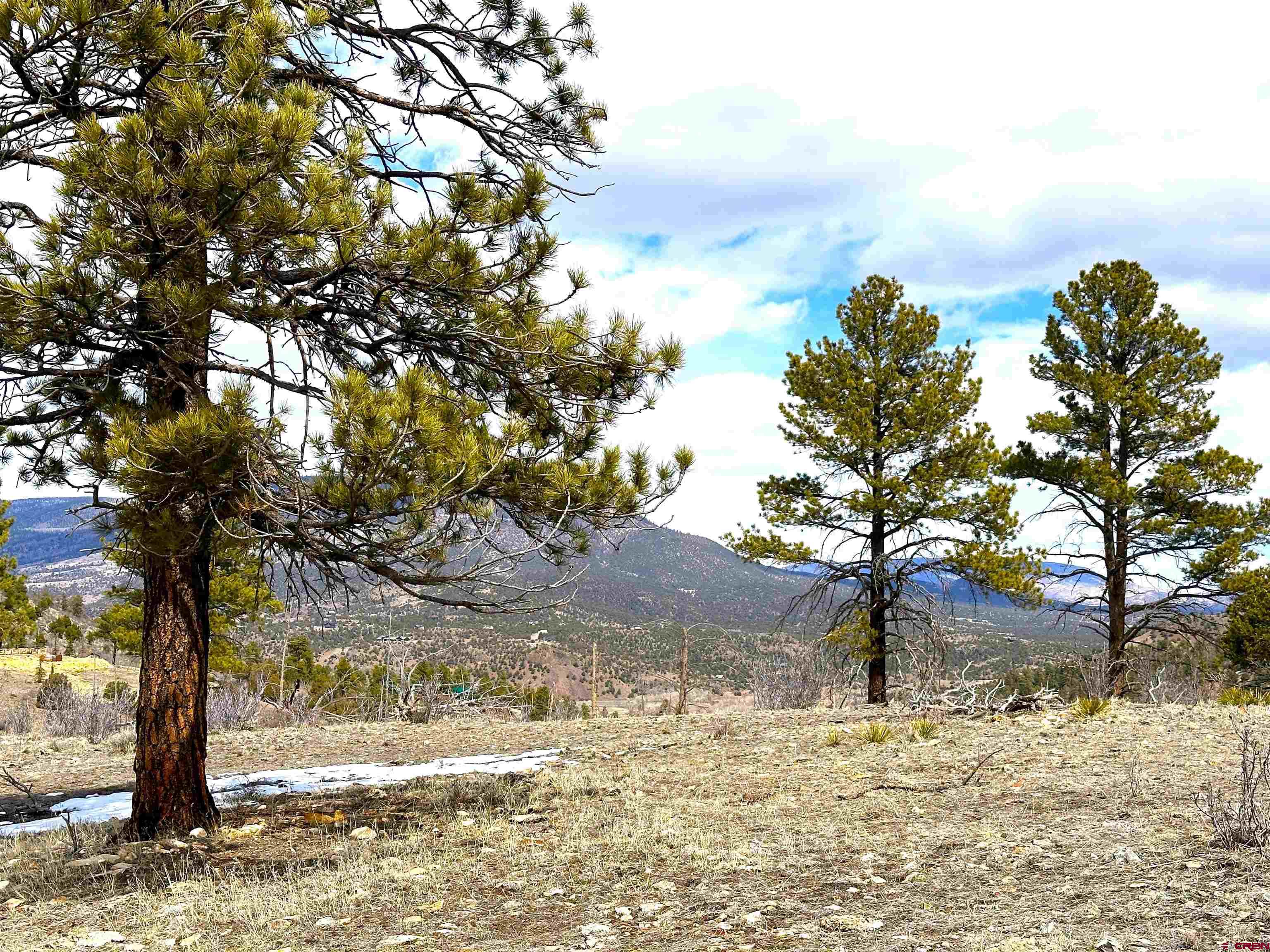 150 Rickel Circle South Fork, CO 81154 - Photo 7 of 11