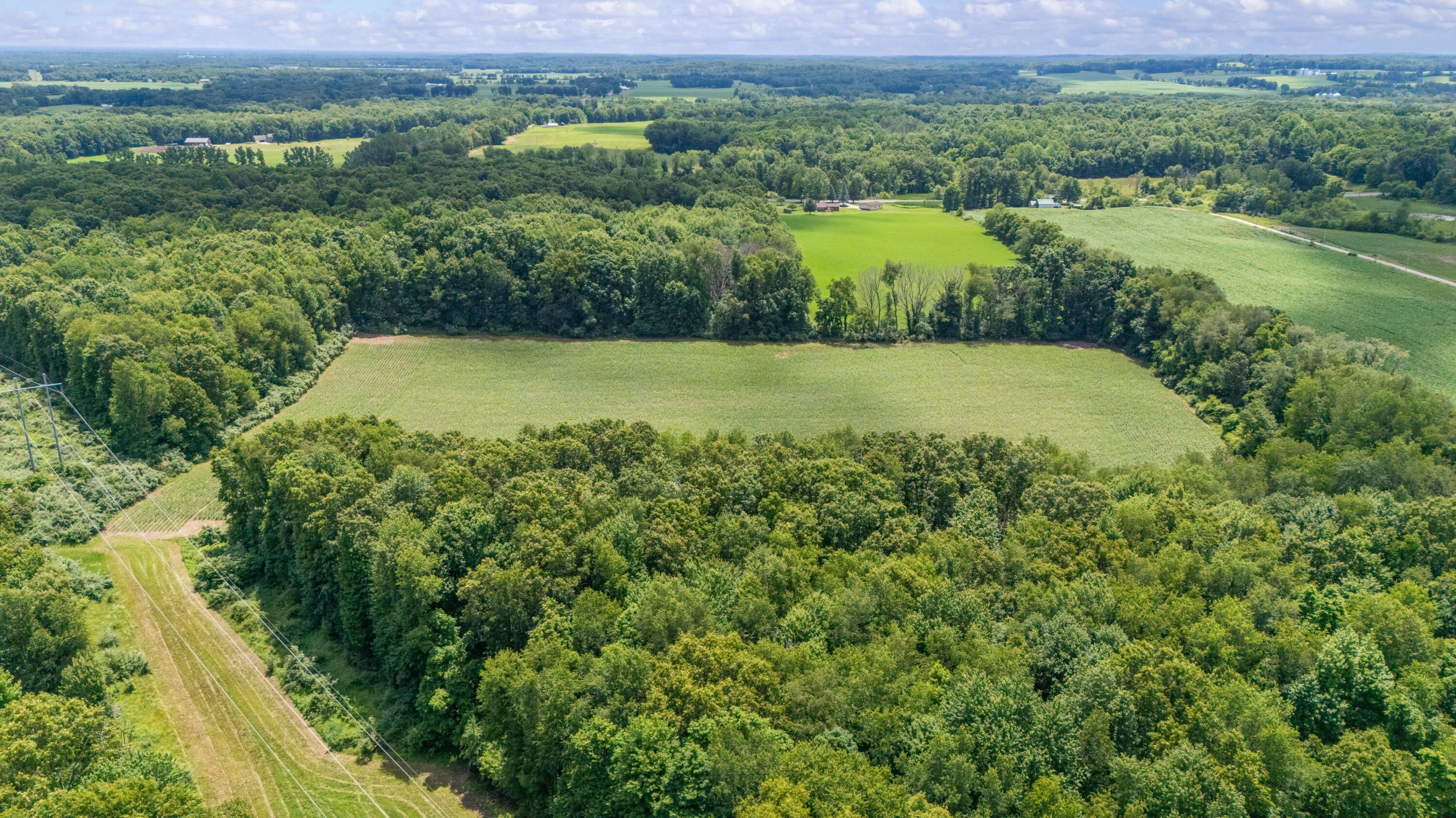52402 Oak Plains Road Marcellus, MI 49067 - Photo 9 of 59 15DJI_20260626020629_0042_D