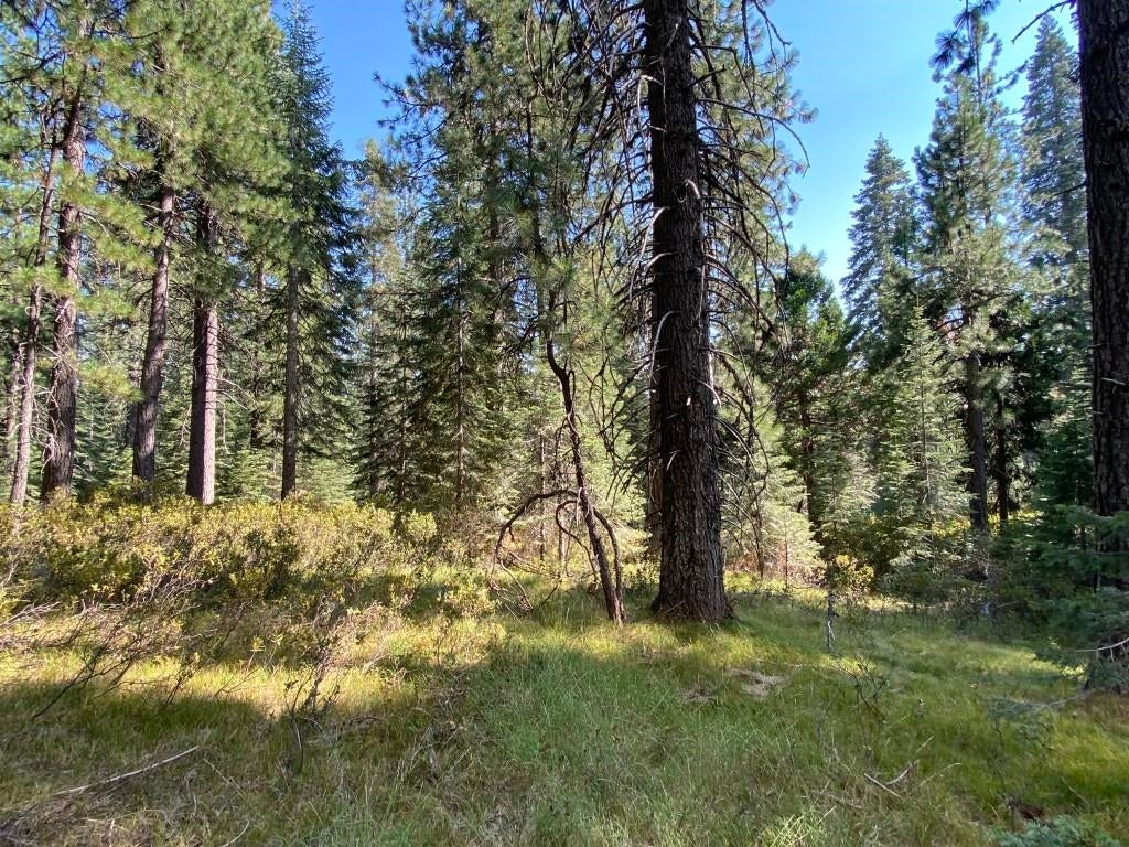 3-e-48 Red Fir Road McCloud, CA 96057 - Photo 11 of 15 Gallery Image 11