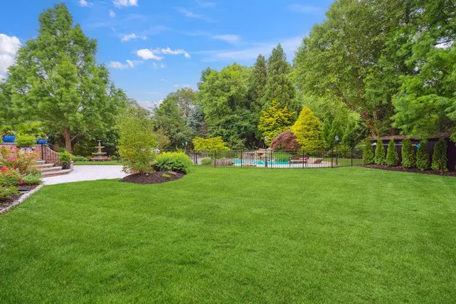 a view of a park with large trees