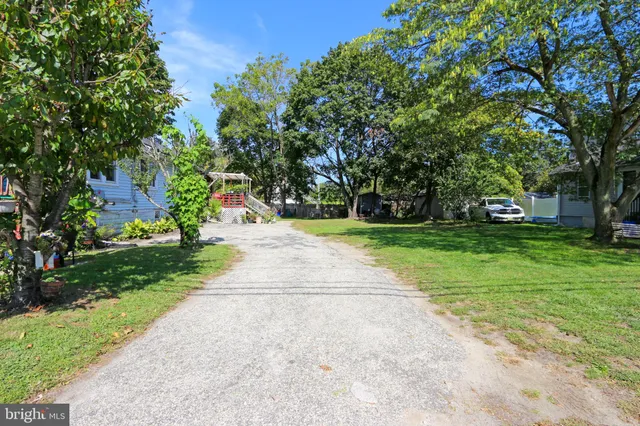 a view of a park with large trees