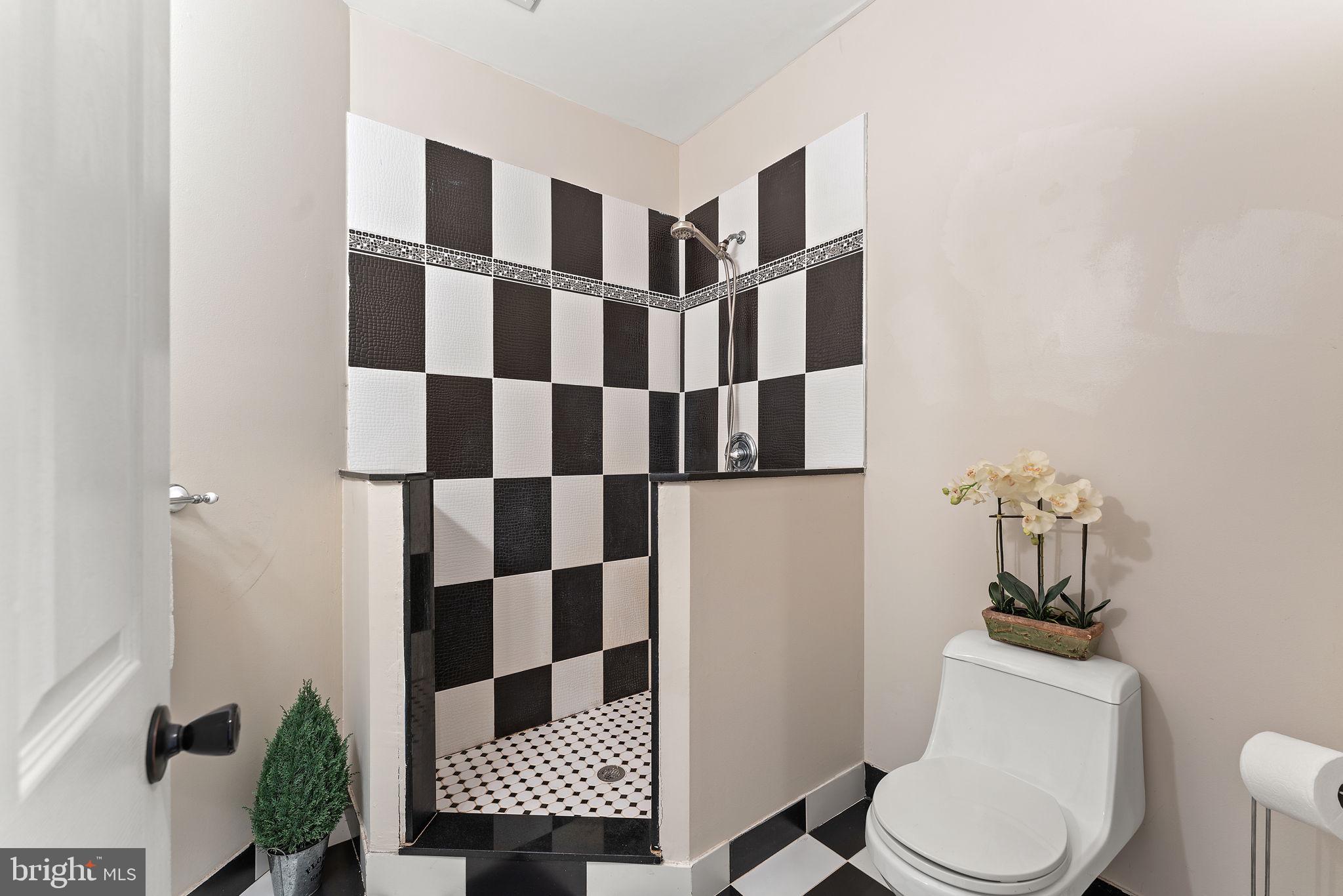 5005 Ridgewood Road Alexandria, VA 22312 - Photo 59 of 77 Upper hall bath