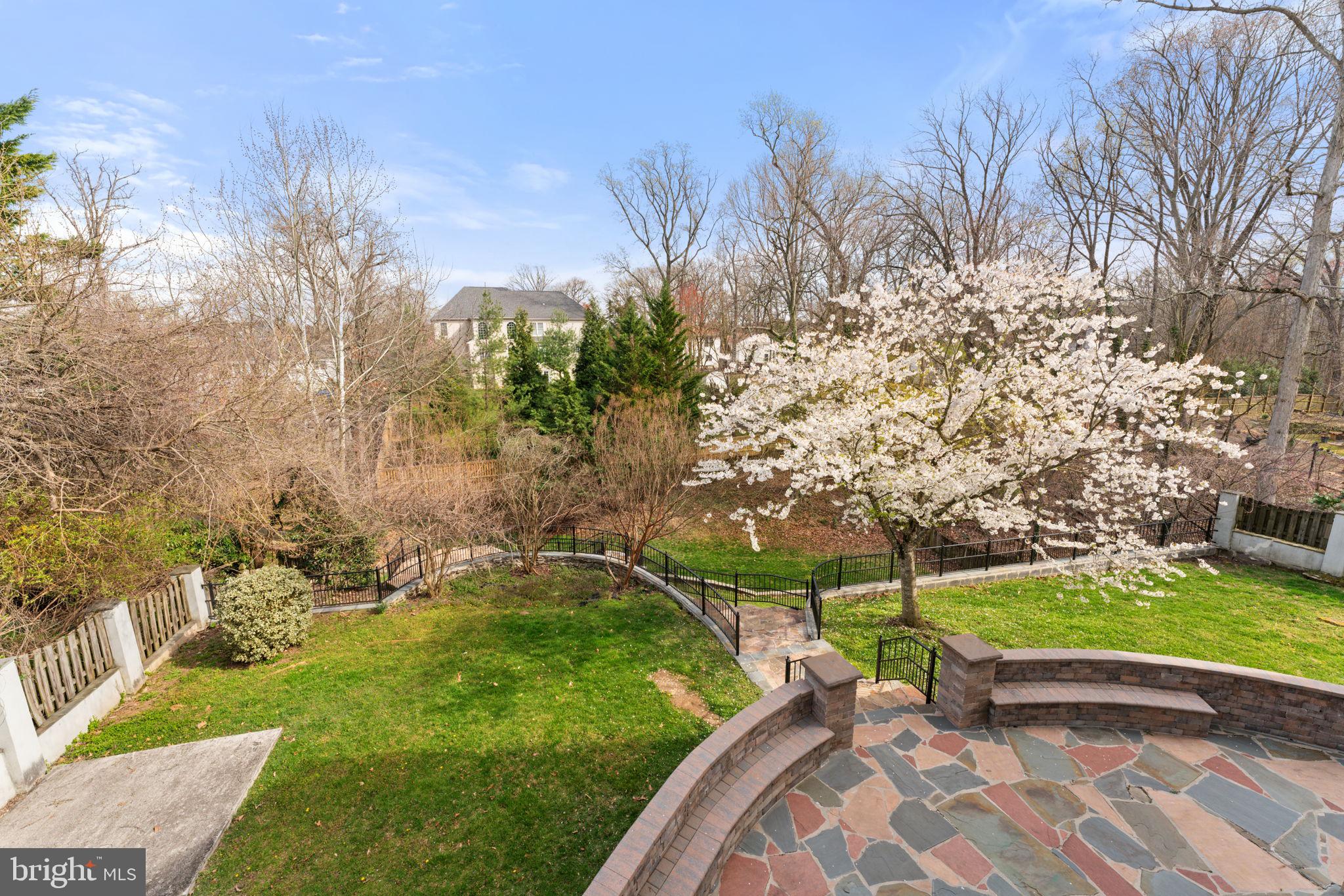 5005 Ridgewood Road Alexandria, VA 22312 - Photo 69 of 77 Rear yard