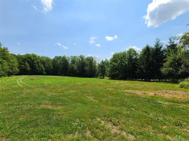 a view of a green yard